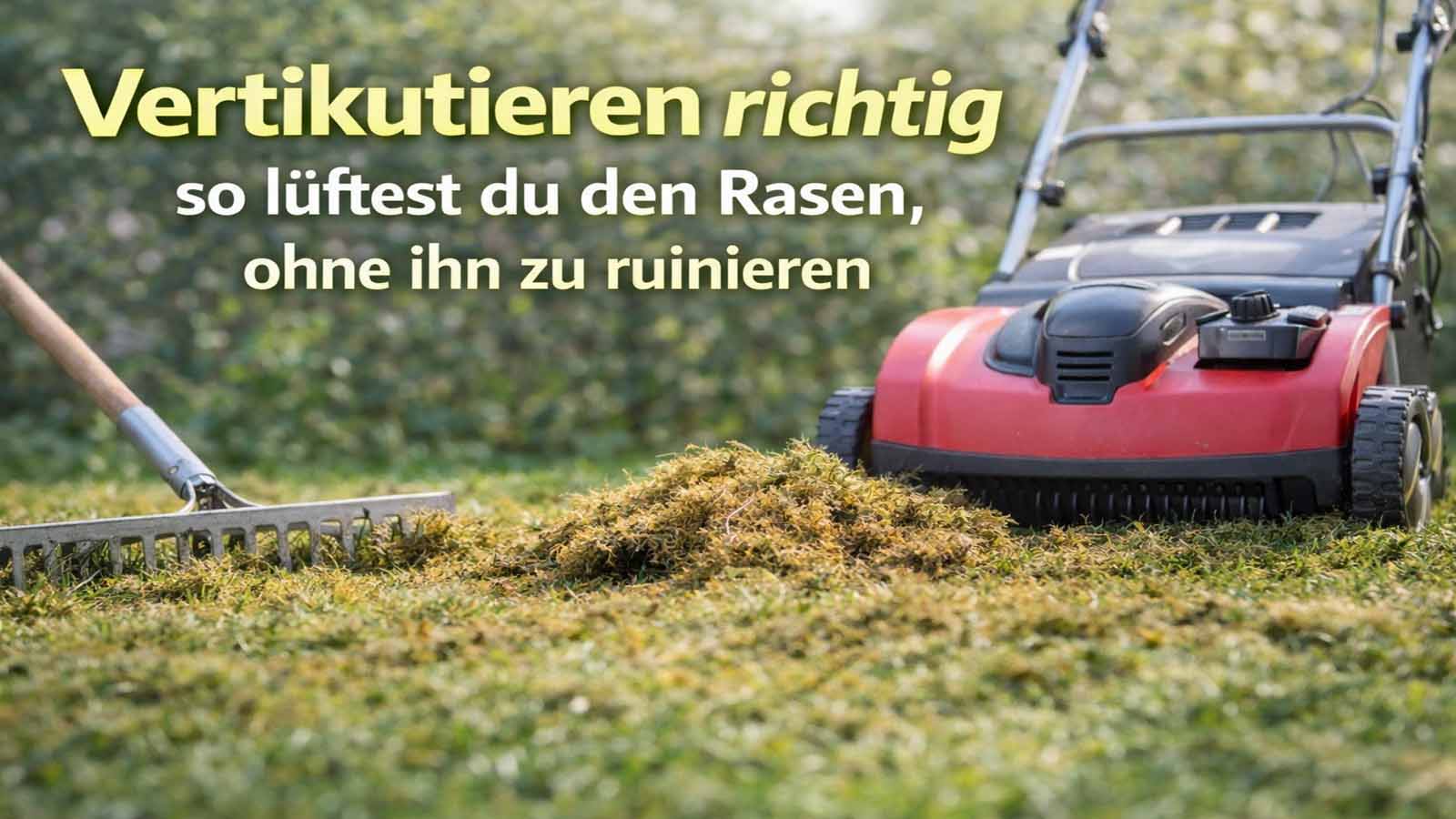 Avoid Verticutting Mistakes: Depth, Aftercare, & Heavy Soil Solutions