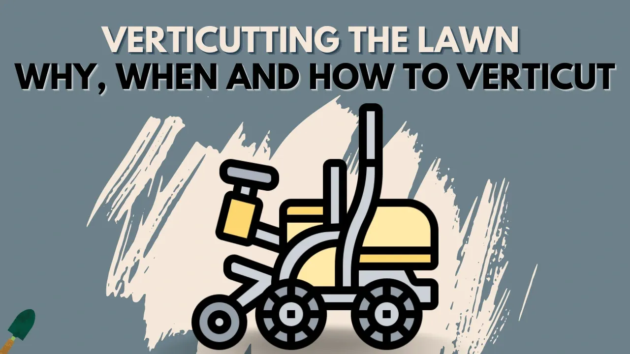 Proper Lawn Verticutting: Your Guide to a Healthy, Dense Lawn